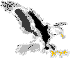 Logo EL Condor